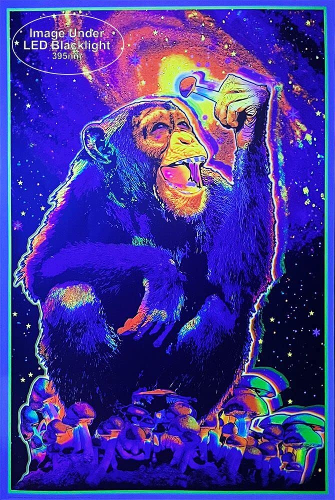 Amazon.com: Studio B Monkey Mushroom - Non-Flocked Blacklight